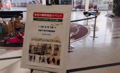 1級プロ養成