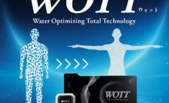 WOTTメニュー
